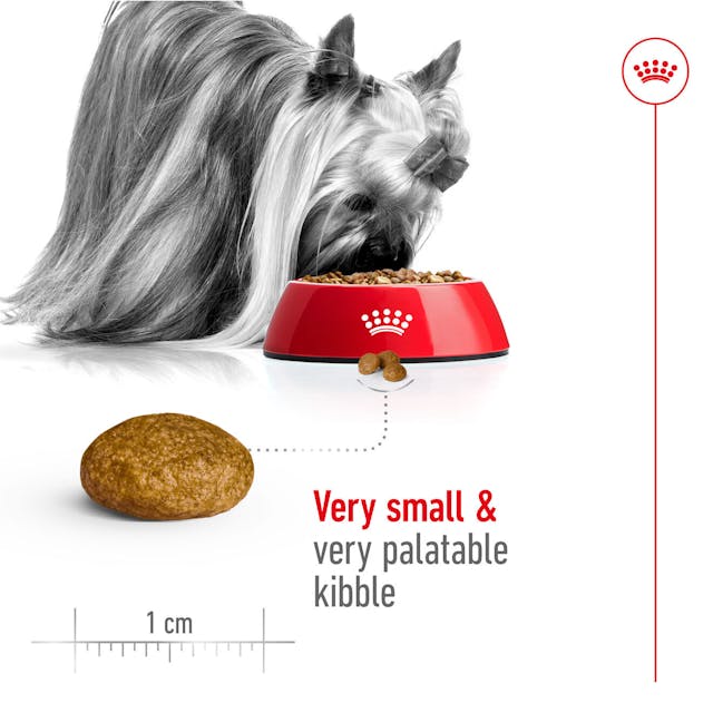 Royal Canin X-Small Adult 1.5kg - Image 4