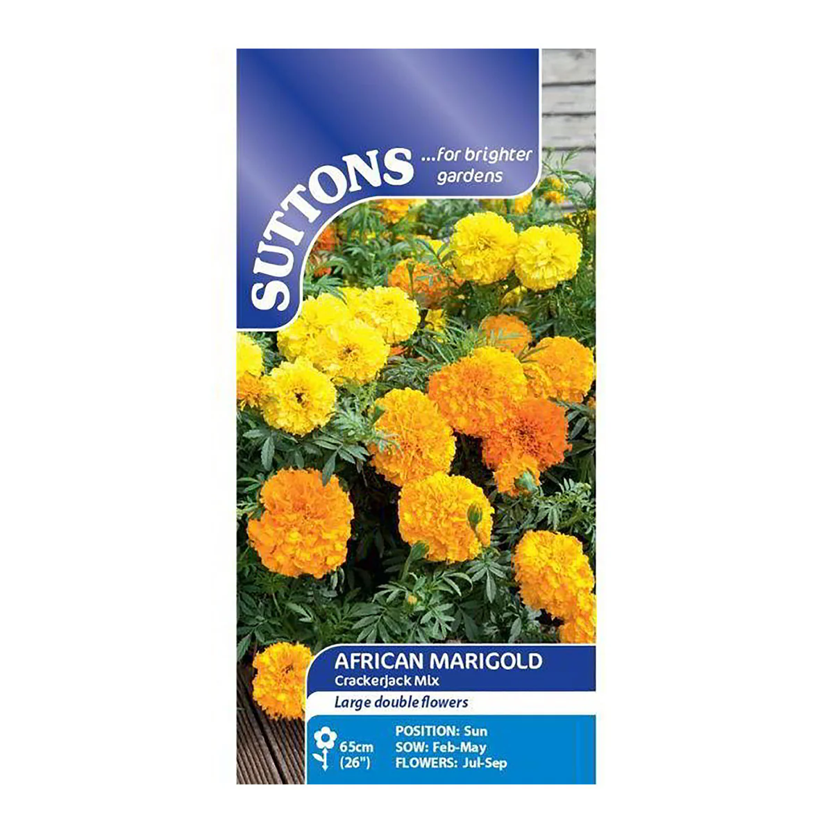 African Marigold Crackerjack Mix Flower Seeds - Image 2