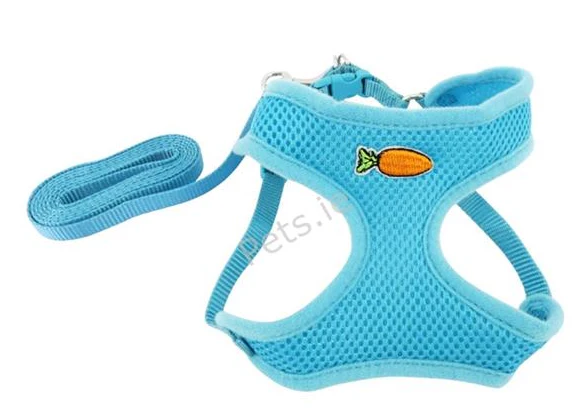 Ancol Small Animal Mesh Harness and Lead - Large  - Teal - Image 2