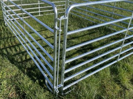 Condon 5ft Sheep Hurdle - Image 4