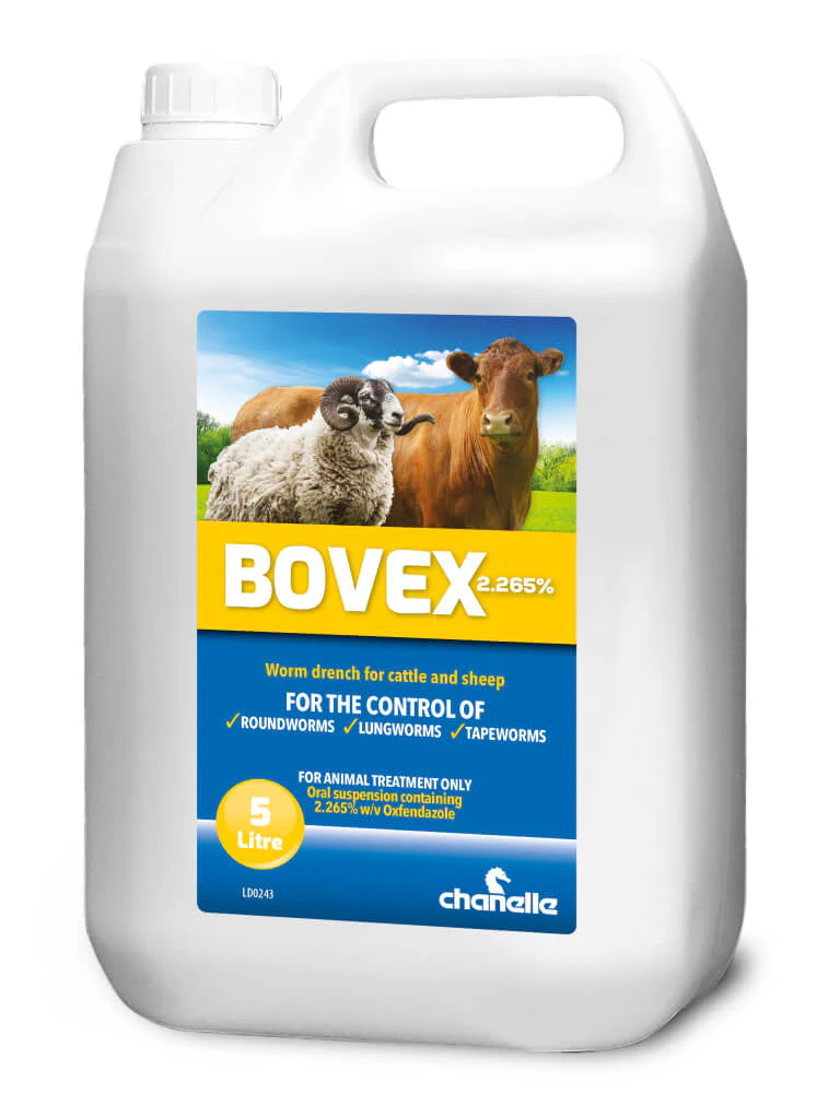 Bovex - Image 2