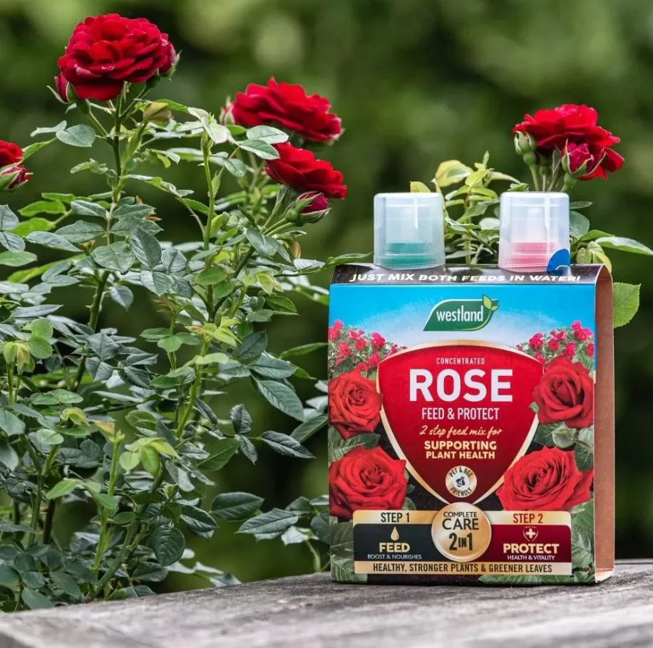 Westland 2 In1 Feed And Protect Rose 2 X 500ml - Image 2