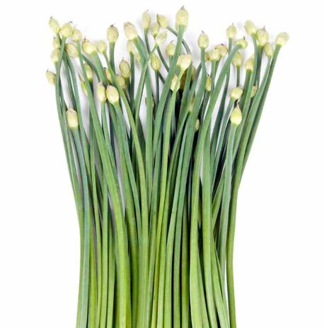 Garlic Chives - Herb Seeds - Image 2