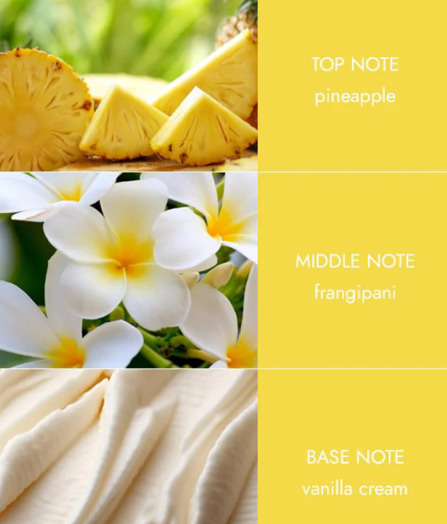 Reed Diffusers - Summer Bliss - Image 3
