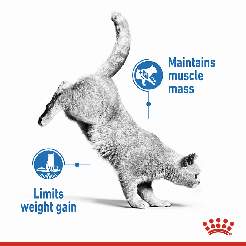 Royal Canin Light Weight Care Cat - Image 2