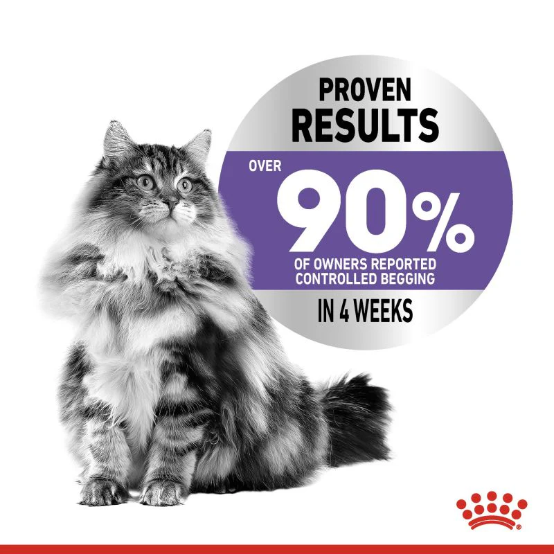 Royal Canin Appetite Control Care Cat 400g - Image 2