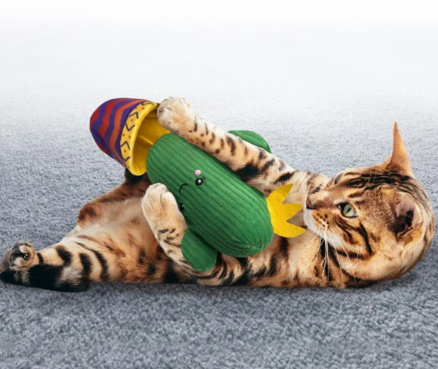 Kong Cat Wrangler Cactus - Image 3