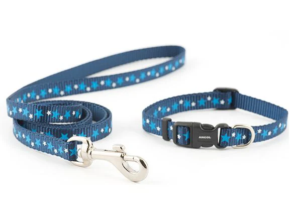 Small Bite Stars Puppy Collar & Lead - Image 2