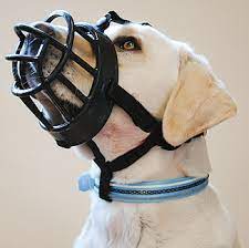 Baskerville Dog Muzzle - Image 2