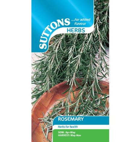 Rosemary - Herb Seeds - Image 4