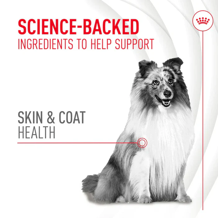 Royal Canin Adult Dog Skin & Coat Chews - 240g - Image 3