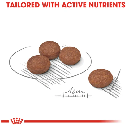 Royal Canin Digestive Care Mini 3 kg - Image 2
