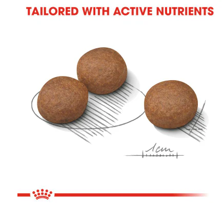 Royal Canin Medium Digestive Care 3kg - Image 2