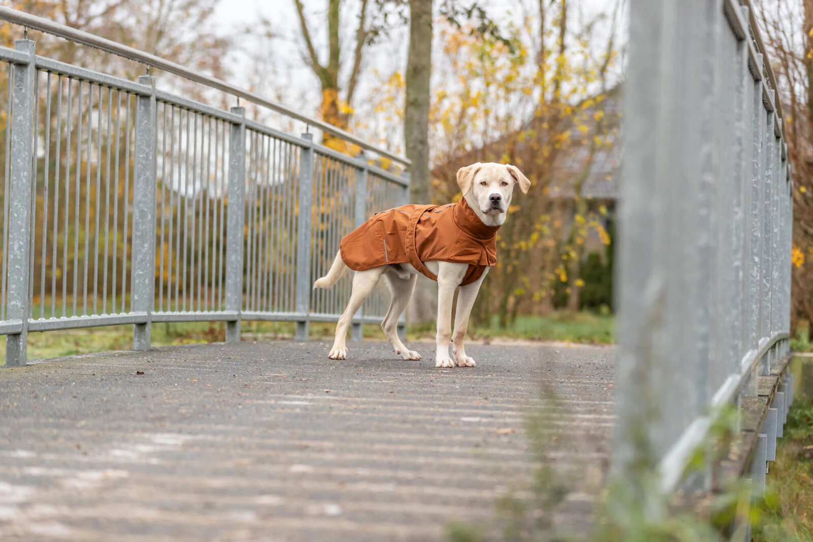 Trixie CityStyle Dublin Raincoat Rust - Image 10